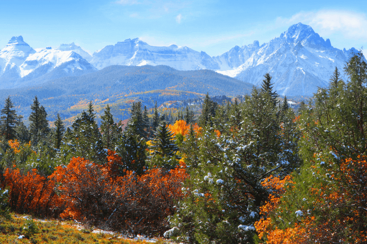 Don’t Miss Out: Here’s Where to View Colorado Fall Foliage in October