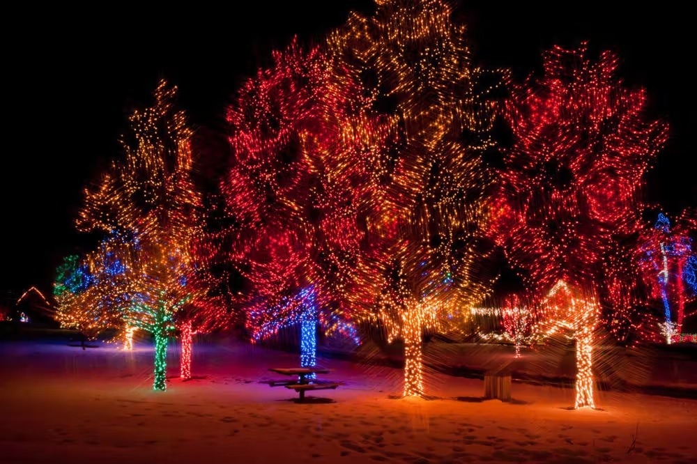The 5 Best Christmas Light Displays in Colorado