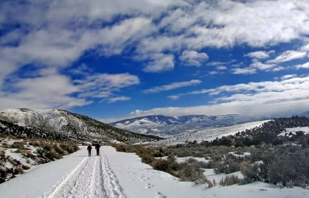 Tired of Skiing? Check Out the 4 Best Places to Snowshoe in Colorado