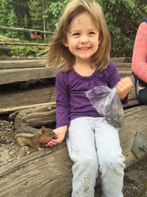 outdoor activities for kids chipmunk