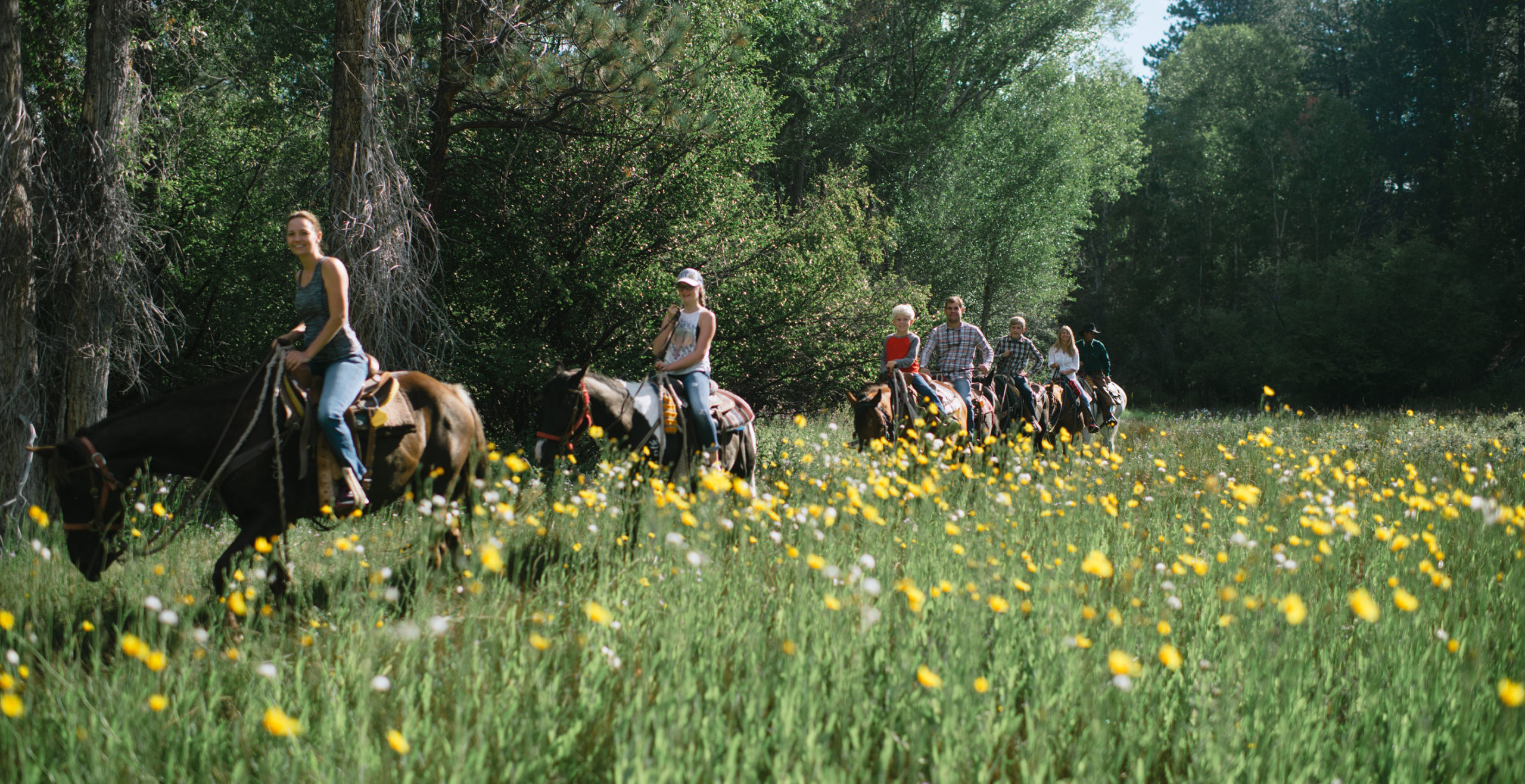 Horseback Adventure