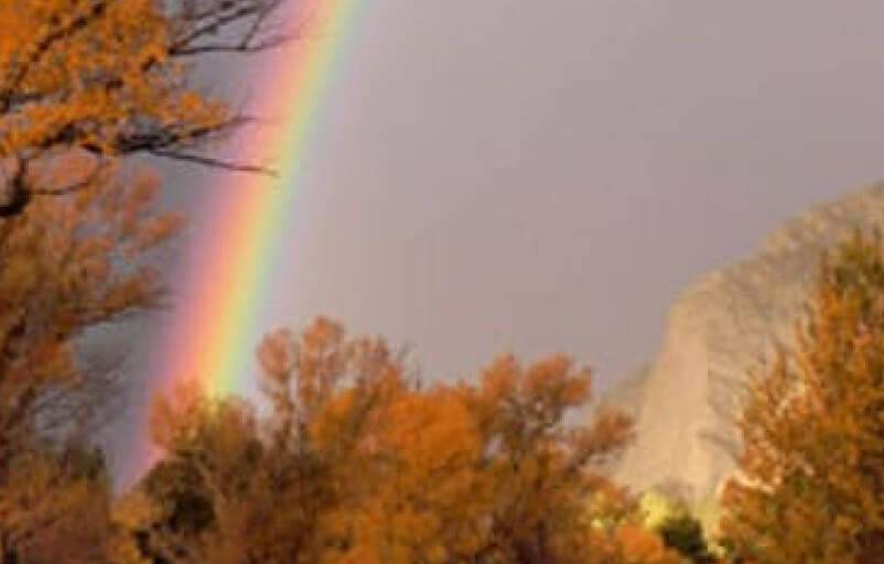 Antero Hot Springs Cabins